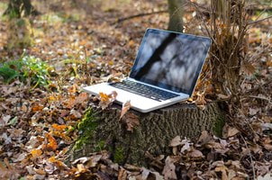 Laptop auf Baumstumpf im Wald